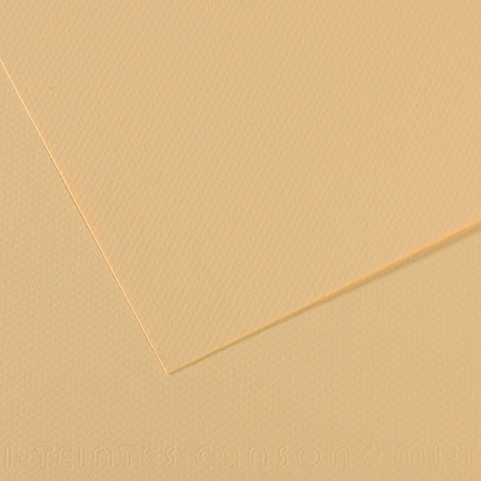 Canson Mi-Teintes 160gsm A4