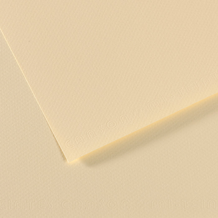 Canson Mi-Teintes 160gsm 50x65cm