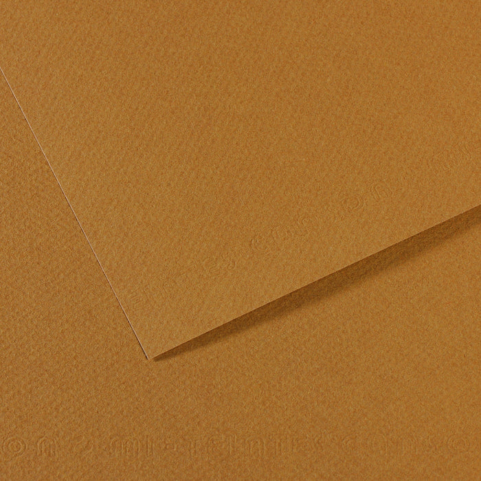 Canson Mi-Teintes 160gsm 50x65cm