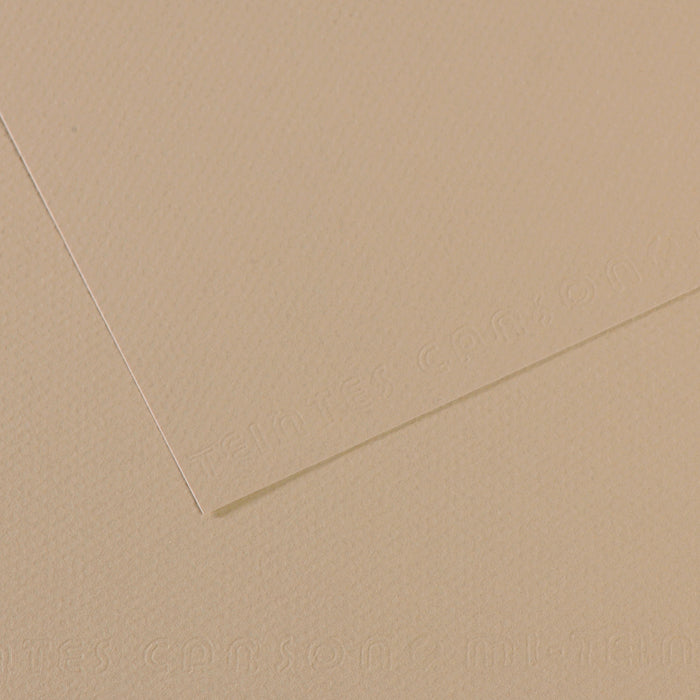 Canson Mi-Teintes 160gsm 50x65cm