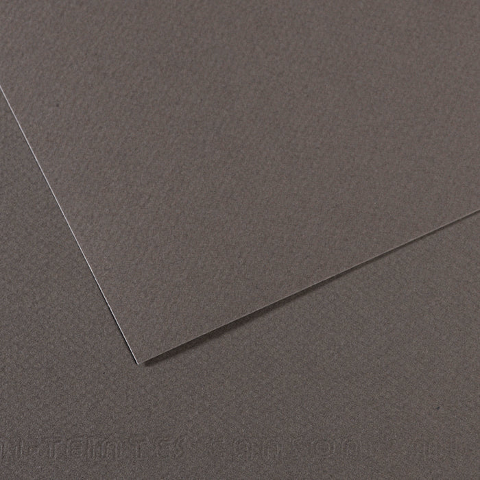 Canson Mi-Teintes 160gsm 50x65cm