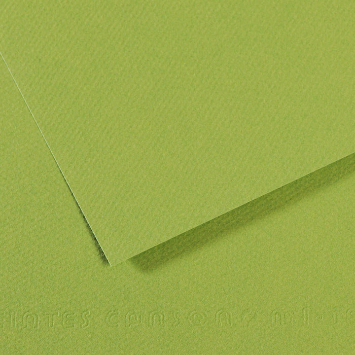 Canson Mi-Teintes 160gsm 50x65cm