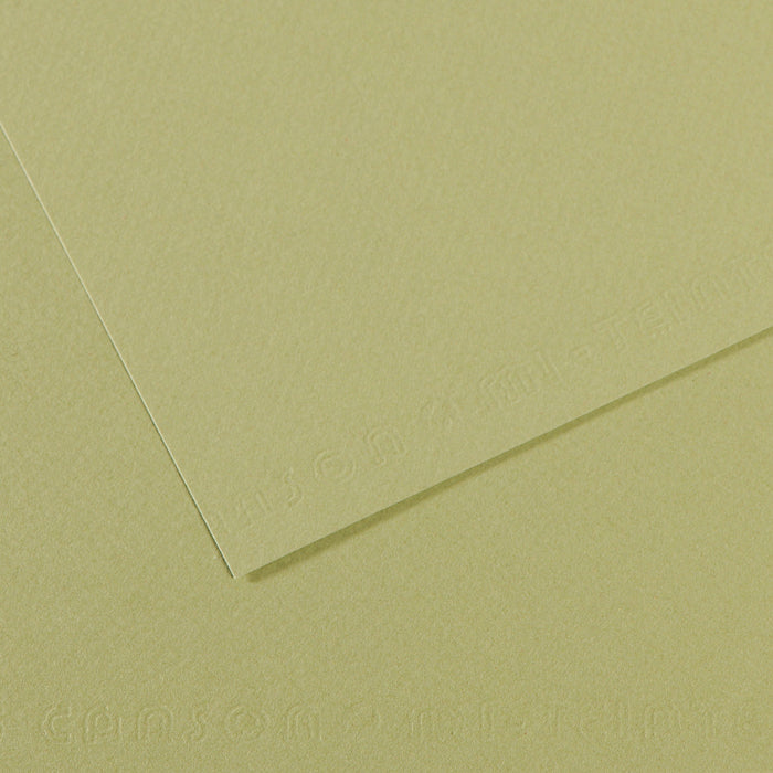 Canson Mi-Teintes 160gsm 50x65cm