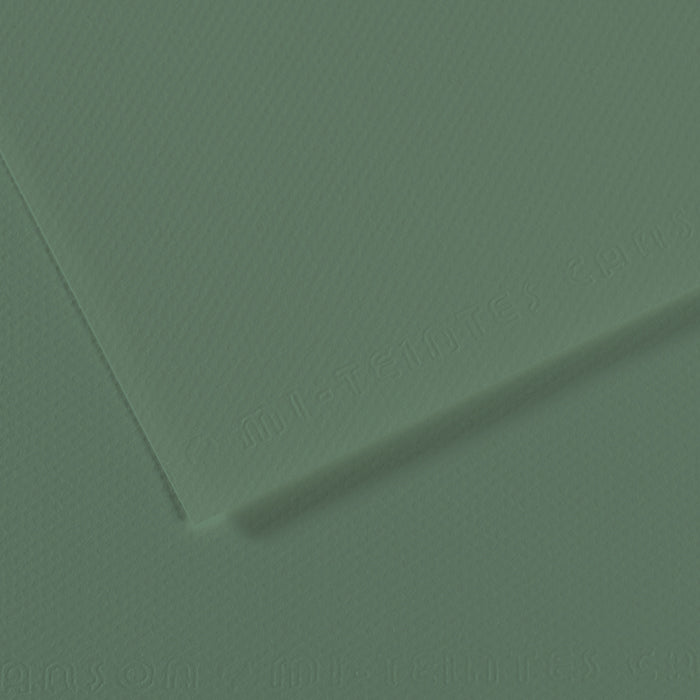 Canson Mi-Teintes 160gsm 50x65cm