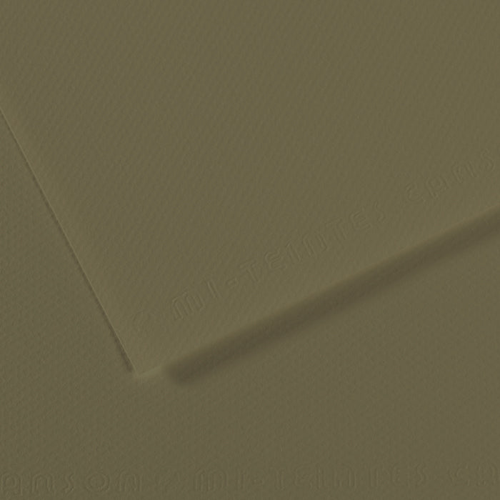 Canson Mi-Teintes 160gsm 50x65cm
