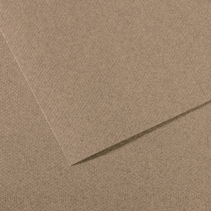 Canson Mi-Teintes 160gsm 50x65cm