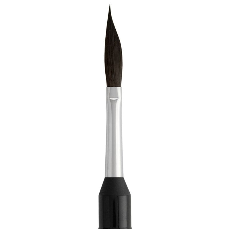 Borciani e Bonazzi Brush Kits