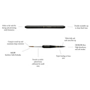Borciani e Bonazzi Brush Sets