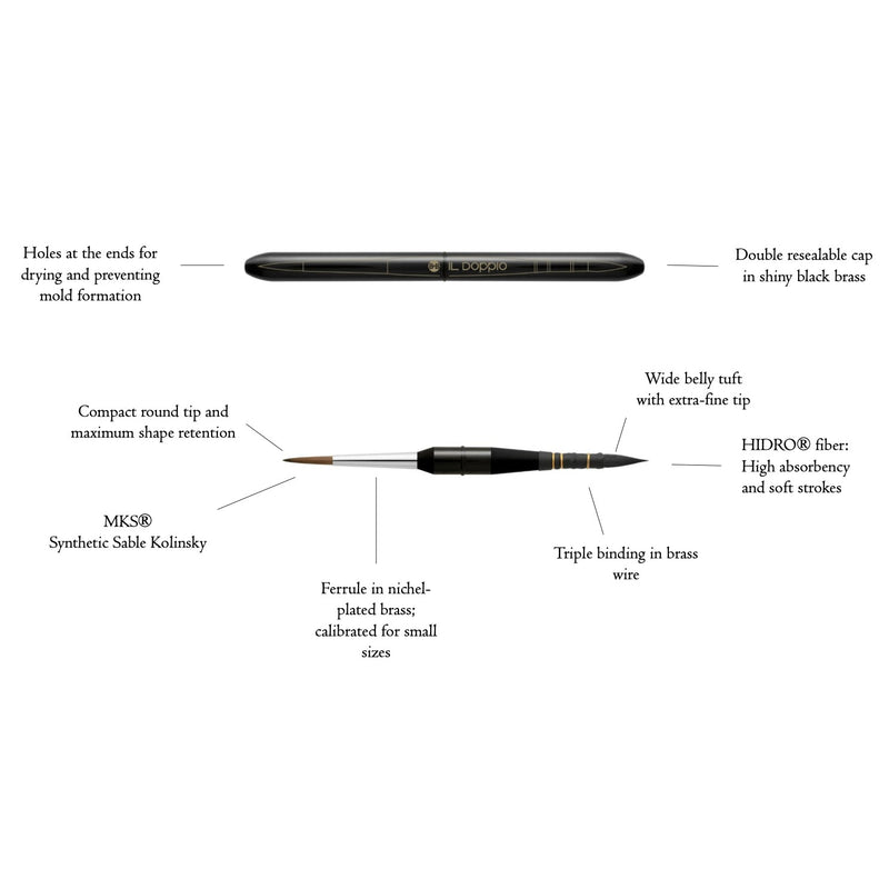 Borciani e Bonazzi Brush Sets