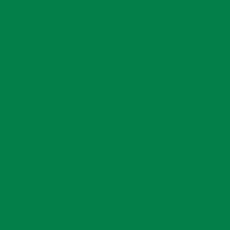 DALER ROWNEY DALER ROWNEY 335 Emerald Daler Rowney Designer Gouache 15ml