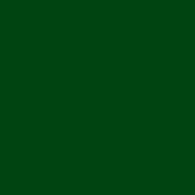 DALER ROWNEY DALER ROWNEY 341 Pine Green Daler Rowney Designer Gouache 15ml