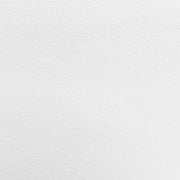 ALESANDRO CANVAS Polyester Polyester 4 Coats 10m Roll
