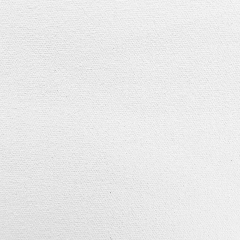 ALESANDRO CANVAS Polyester Polyester 4 Coats 10m Roll