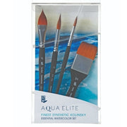 PRINCETON PRINCETON Princeton Aqua Elite 4850 Professional Box 4PC Set