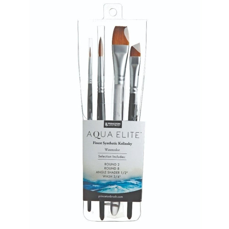 PRINCETON PRINCETON Princeton Aqua Elite 4850 SH Professional 4PC Set