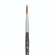 PRINCETON PRINCETON Elite SYN SH Round Size 6 Princeton Aqua Elite 4850 SH Round
