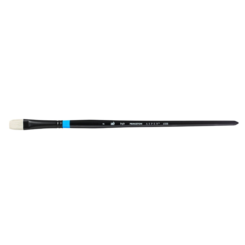 PRINCETON PRINCETON Princeton Aspen 6500 LH Bright