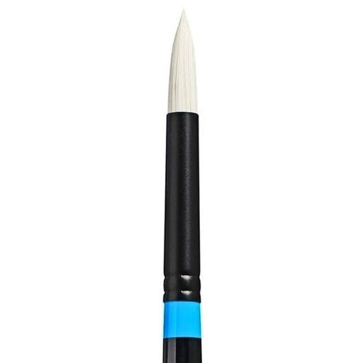 PRINCETON PRINCETON Aspen SYN LH Round Size 8 Princeton Aspen 6500 LH Round