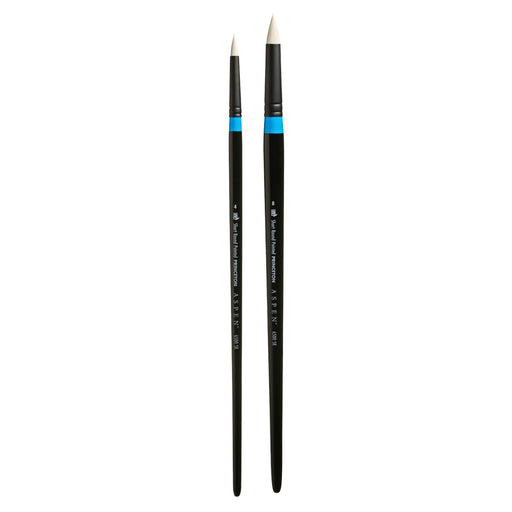 PRINCETON PRINCETON Princeton Aspen 6500 LH Short Round Pointed