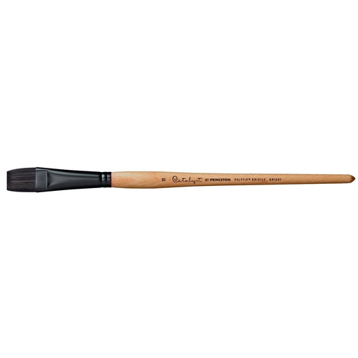 PRINCETON PRINCETON Princeton Catalyst 6400 LH Bright