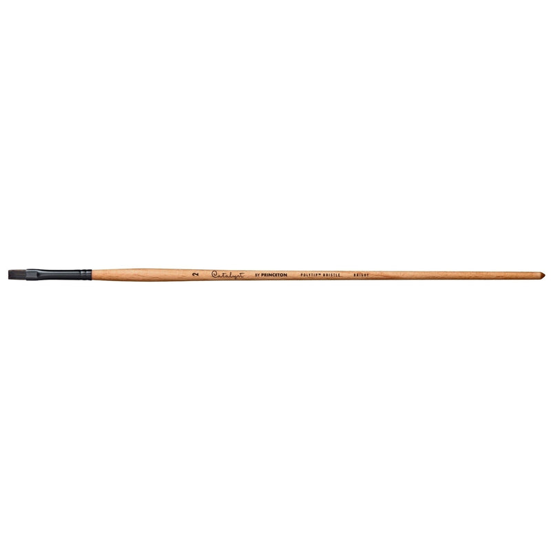 PRINCETON PRINCETON Princeton Catalyst 6400 LH Bright