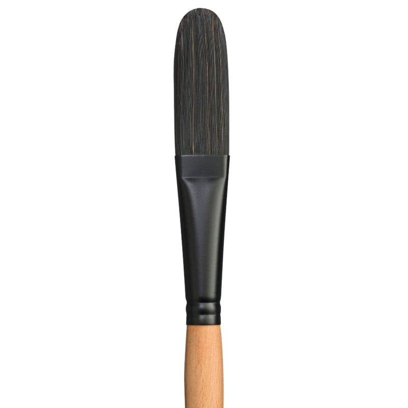 PRINCETON PRINCETON Catalyst SYN LH Egbert Size 12 Princeton Catalyst 6400 LH Egbert