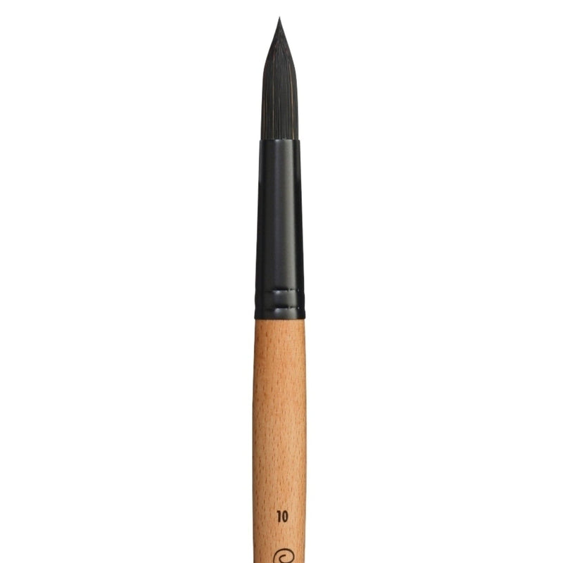 PRINCETON PRINCETON Catalyst SYN LH Round Size 10 Princeton Catalyst 6400 LH Round