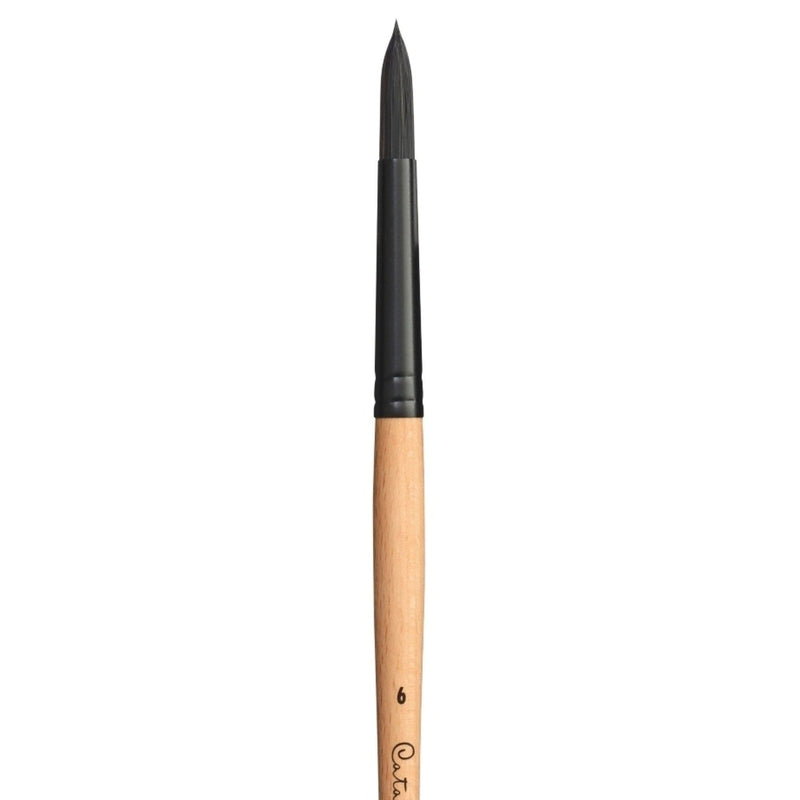 PRINCETON PRINCETON Catalyst SYN LH Round Size 6 Princeton Catalyst 6400 LH Round