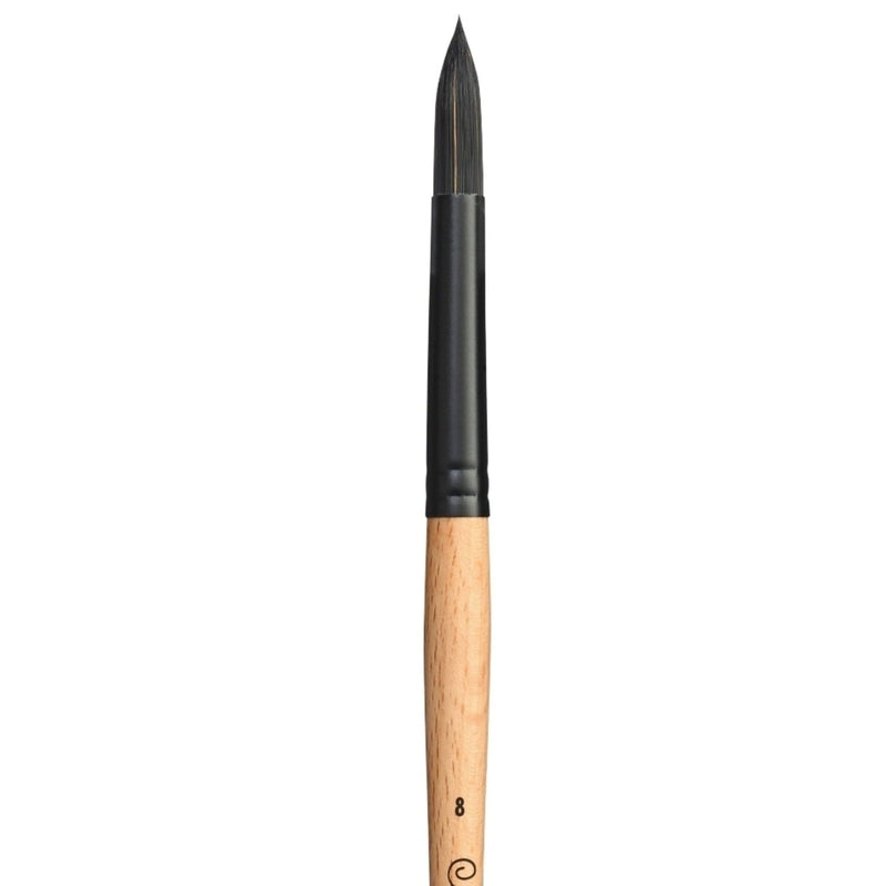 PRINCETON PRINCETON Catalyst SYN LH Round Size 8 Princeton Catalyst 6400 LH Round