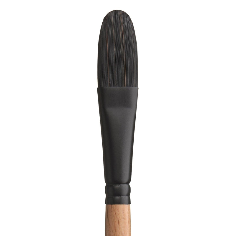 PRINCETON PRINCETON Catalyst SYN SH Filbert Size 8 Princeton Catalyst 6450 SH Filbert