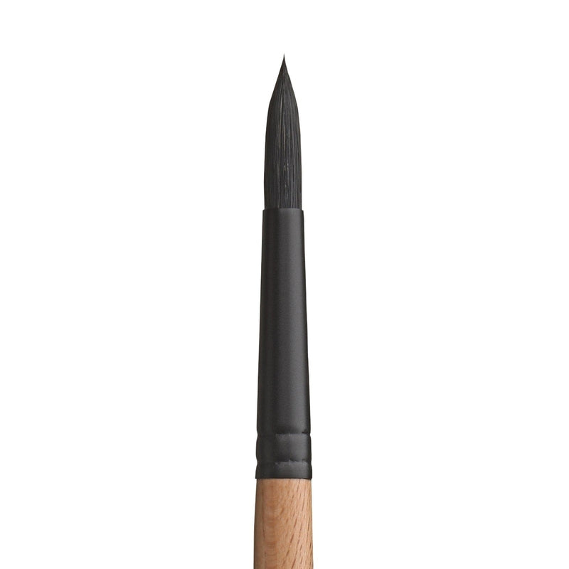 PRINCETON PRINCETON Catalyst SYN SH Round Size 10 Princeton Catalyst 6450 SH Round