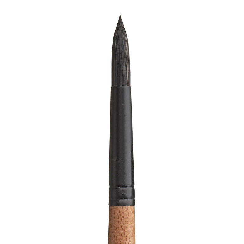 PRINCETON PRINCETON Catalyst SYN SH Round Size 12 Princeton Catalyst 6450 SH Round