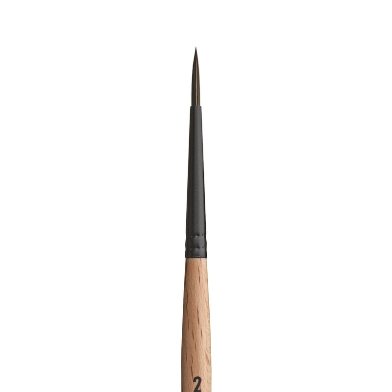 PRINCETON PRINCETON Catalyst SYN SH Round Size 2 Princeton Catalyst 6450 SH Round