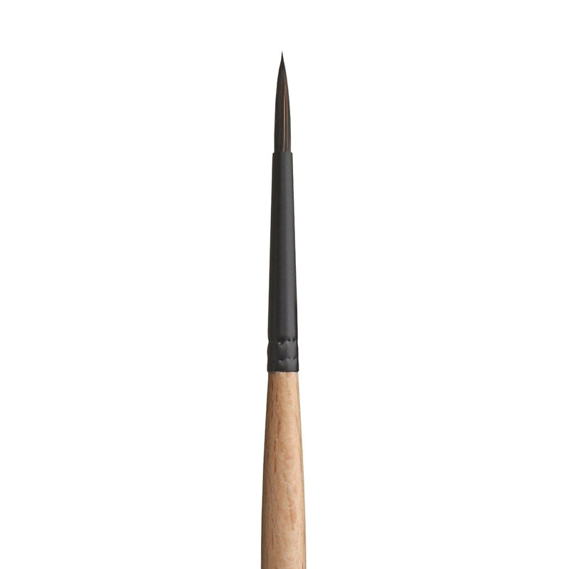 PRINCETON PRINCETON Catalyst SYN SH Round Size 3 Princeton Catalyst 6450 SH Round
