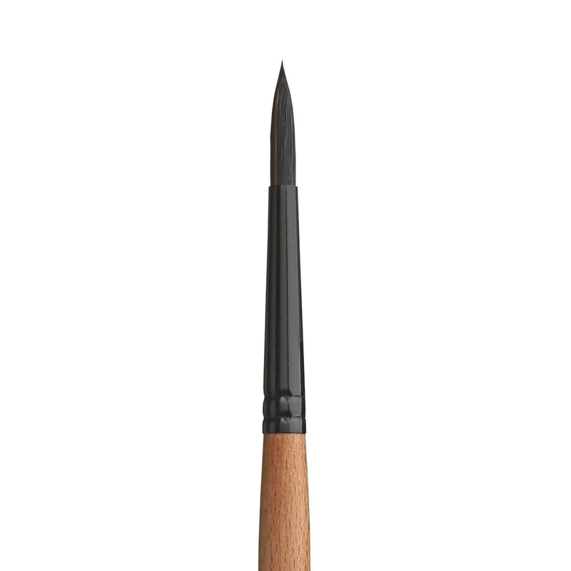PRINCETON PRINCETON Catalyst SYN SH Round Size 6 Princeton Catalyst 6450 SH Round