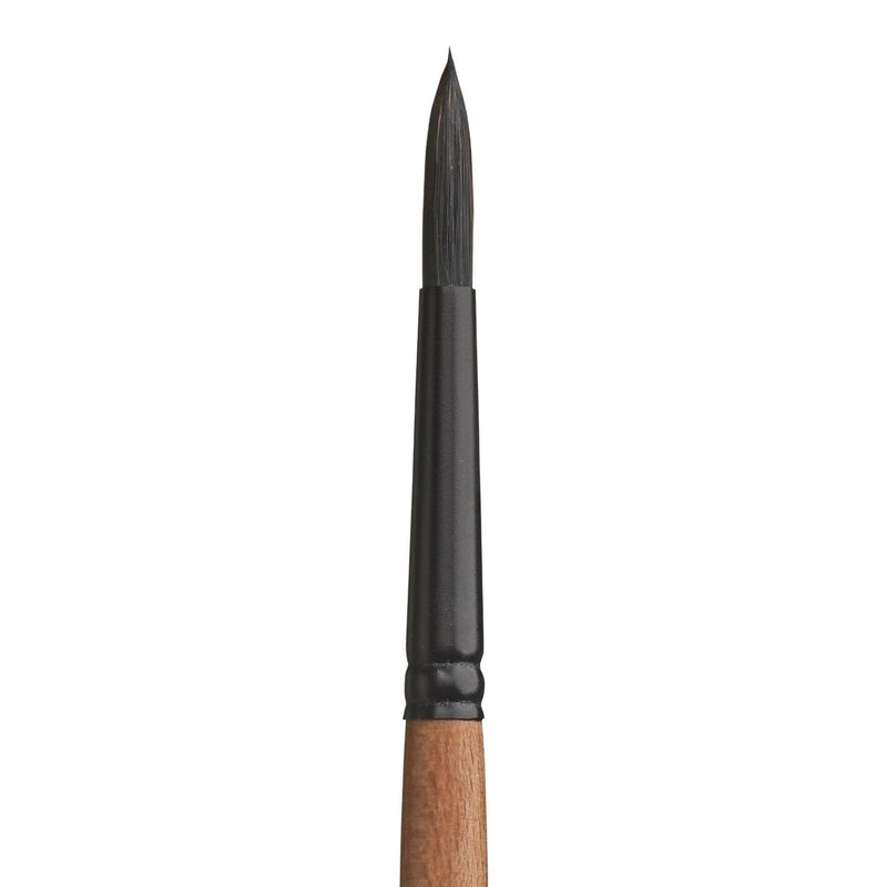 PRINCETON PRINCETON Catalyst SYN SH Round Size 8 Princeton Catalyst 6450 SH Round