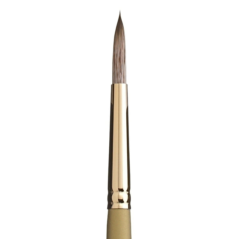 PRINCETON PRINCETON Princeton Imperial 6600 LH Long Round Size 8