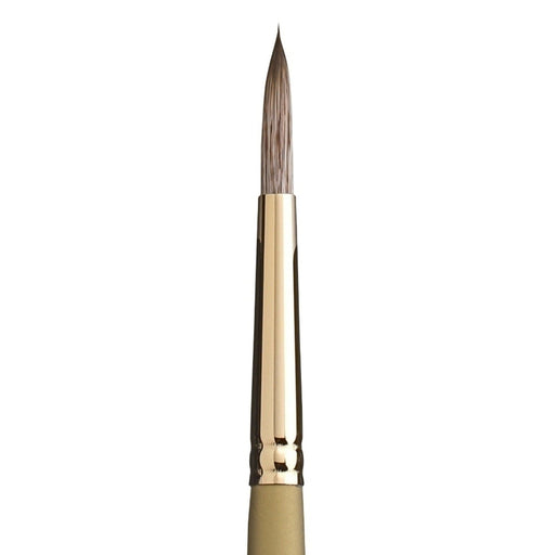 PRINCETON PRINCETON Princeton Imperial 6600 LH Long Round Size 8