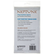 PRINCETON PRINCETON Princeton Neptune 4750 SYN Professional Box 4PC Set