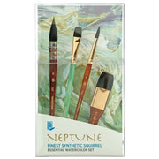PRINCETON PRINCETON Princeton Neptune 4750 SYN Professional Box 4PC Set