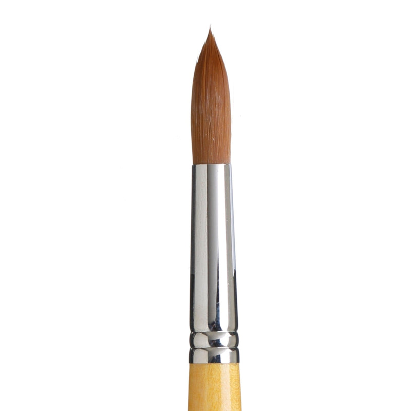 PRINCETON PRINCETON Snap SYN Gold SH Round Size 16 Princeton Snap 9650 Gold SH Round