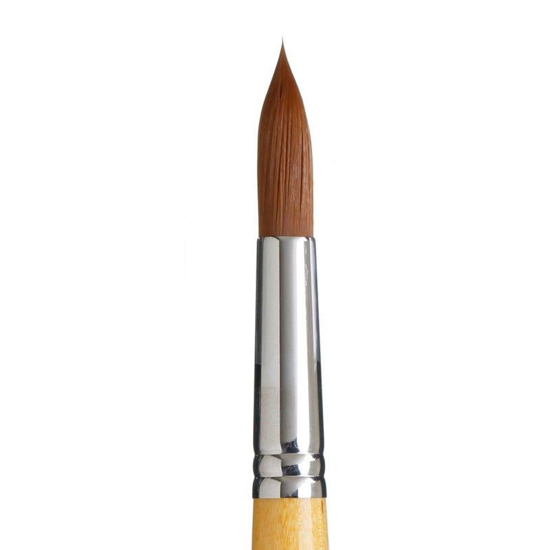 PRINCETON PRINCETON Snap SYN Gold SH Round Size 20 Princeton Snap 9650 Gold SH Round